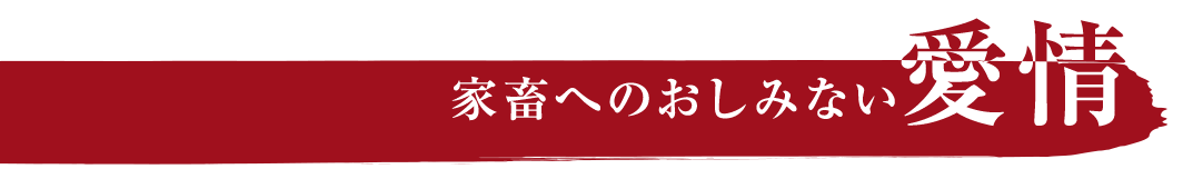 家畜へのおしみない愛情