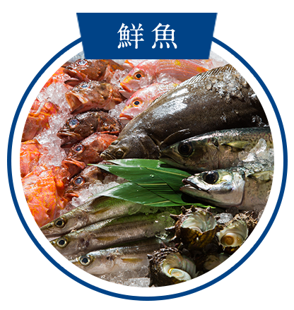 鮮魚