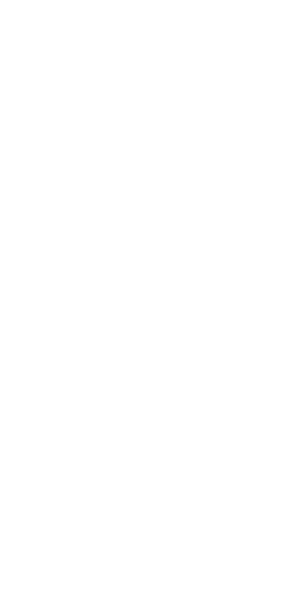 夜明けの海はイカが躍る