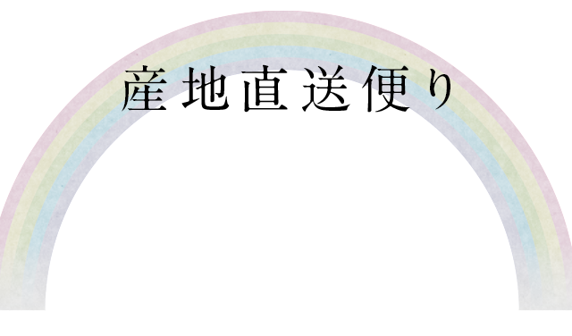 産地直送便り