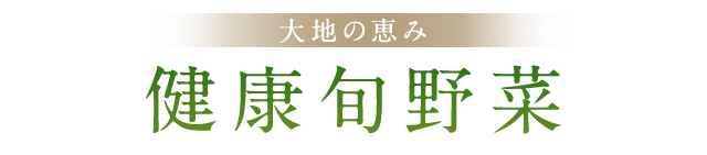 大地の恵み健康旬野菜