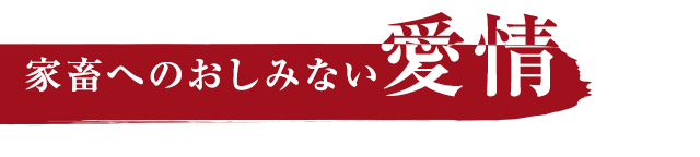 家畜へのおしみない愛情